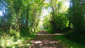 Les nombreux chemins de rando